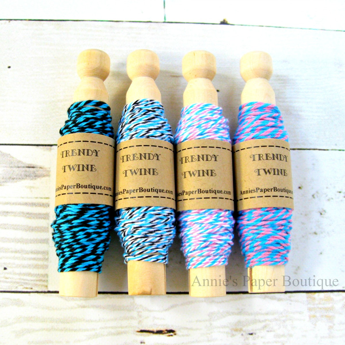 Aqua, Black, and Pink Trendy Twine Sampler