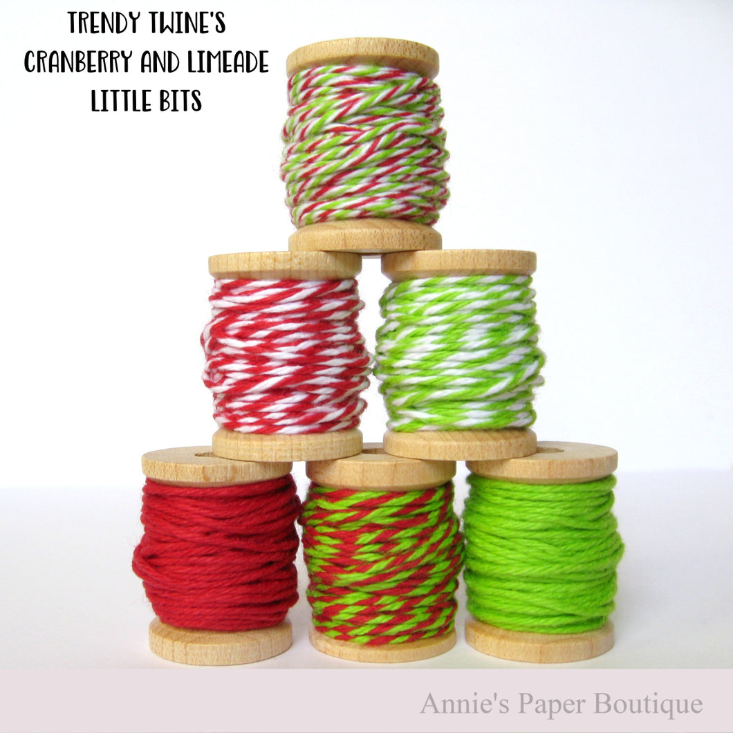 Cranberry and Limeade Trendy Twine Little Bits