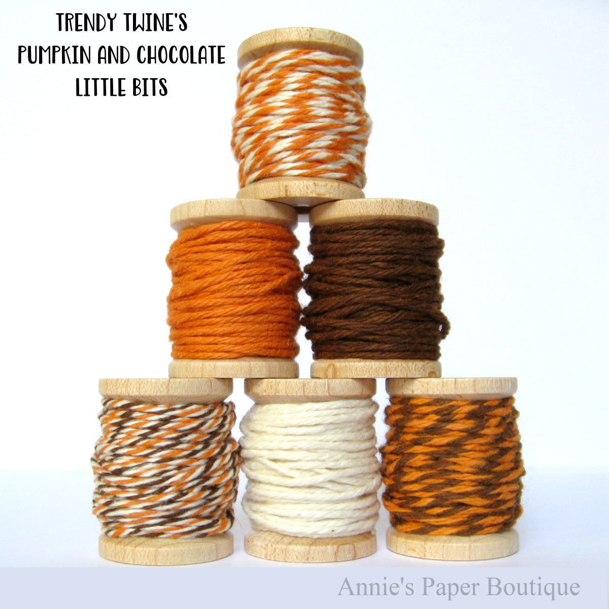 Pumpkin and Chocolate Trendy Twine Little Bits